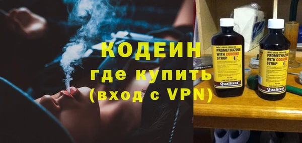 прущая мука Вяземский