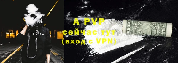 гашик Вязьма