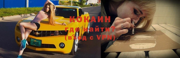 прущая мука Вяземский