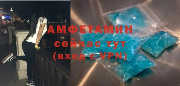 прущая мука Вяземский