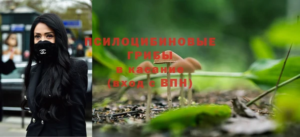 гашик Вязьма