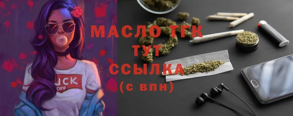 прущая мука Вяземский