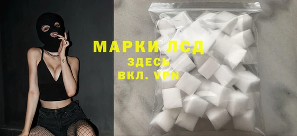 гашик Вязьма