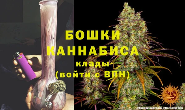 гашик Вязьма