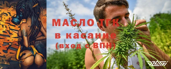 прущая мука Вяземский