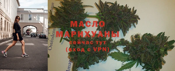 прущая мука Вяземский