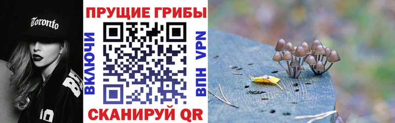 Галлюциногенные грибы MAGIC MUSHROOMS  Евпатория 